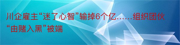 川企雇主“迷了心智”输掉6个亿……组织团伙“由赌入黑”被端