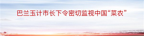 巴兰玉计市长下令密切监视中国“菜农”