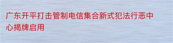 广东开平打击管制电信集合新式犯法行恶中心揭牌启用