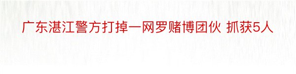 广东湛江警方打掉一网罗赌博团伙 抓获5人