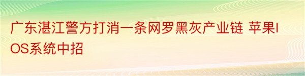 广东湛江警方打消一条网罗黑灰产业链 苹果IOS系统中招