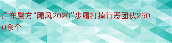 广东警方“飓风2020”步履打掉行恶团伙2500余个