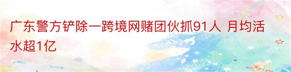 广东警方铲除一跨境网赌团伙抓91人 月均活水超1亿