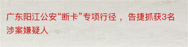 广东阳江公安“断卡”专项行径 ，告捷抓获3名涉案嫌疑人