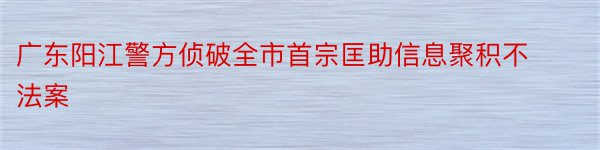 广东阳江警方侦破全市首宗匡助信息聚积不法案