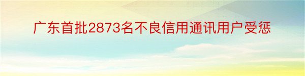 广东首批2873名不良信用通讯用户受惩