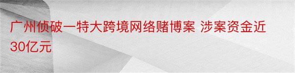 广州侦破一特大跨境网络赌博案 涉案资金近30亿元