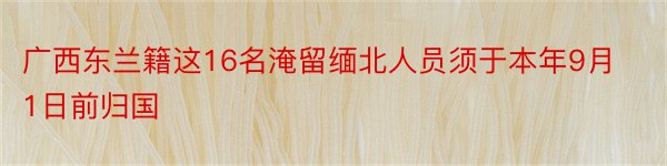 广西东兰籍这16名淹留缅北人员须于本年9月1日前归国