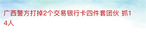 广西警方打掉2个交易银行卡四件套团伙 抓14人