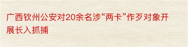 广西钦州公安对20余名涉“两卡”作歹对象开展长入抓捕