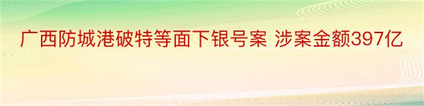 广西防城港破特等面下银号案 涉案金额397亿