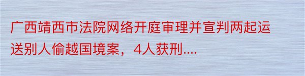 广西靖西市法院网络开庭审理并宣判两起运送别人偷越国境案，4人获刑....