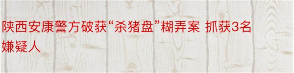 陕西安康警方破获“杀猪盘”糊弄案 抓获3名嫌疑人