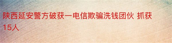 陕西延安警方破获一电信欺骗洗钱团伙 抓获15人