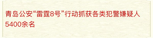 青岛公安“雷霆8号”行动抓获各类犯警嫌疑人5400余名