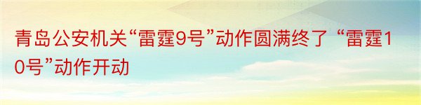 青岛公安机关“雷霆9号”动作圆满终了 “雷霆10号”动作开动