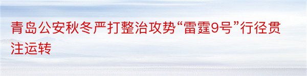 青岛公安秋冬严打整治攻势“雷霆9号”行径贯注运转