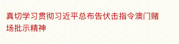 真切学习贯彻习近平总布告伏击指令澳门赌场批示精神