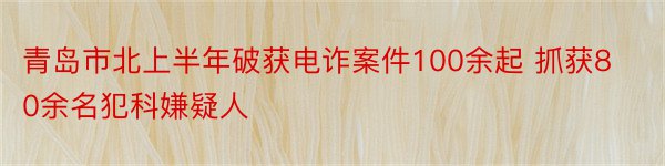 青岛市北上半年破获电诈案件100余起 抓获80余名犯科嫌疑人