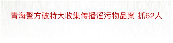 青海警方破特大收集传播淫污物品案 抓62人