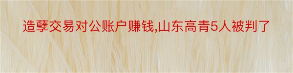 造孽交易对公账户赚钱,山东高青5人被判了