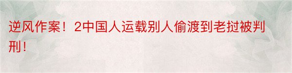 逆风作案！2中国人运载别人偷渡到老挝被判刑！