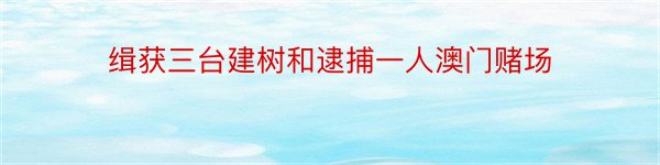 缉获三台建树和逮捕一人澳门赌场