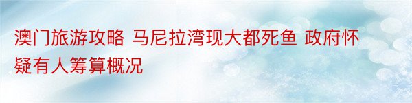 澳门旅游攻略 马尼拉湾现大都死鱼 政府怀疑有人筹算概况