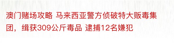 澳门赌场攻略 马来西亚警方侦破特大贩毒集团，缉获309公斤毒品 逮捕12名嫌犯