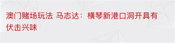 澳门赌场玩法 马志达：横琴新港口洞开具有伏击兴味