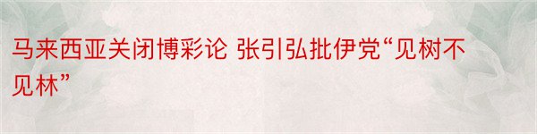 马来西亚关闭博彩论 张引弘批伊党“见树不见林”