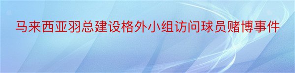 马来西亚羽总建设格外小组访问球员赌博事件