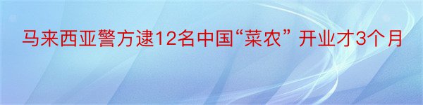 马来西亚警方逮12名中国“菜农” 开业才3个月