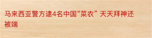 马来西亚警方逮4名中国“菜农” 天天拜神还被端