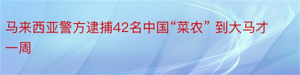 马来西亚警方逮捕42名中国“菜农” 到大马才一周