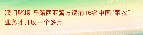 澳门赌场 马路西亚警方逮捕16名中国“菜农” 业务才开展一个多月