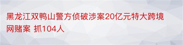 黑龙江双鸭山警方侦破涉案20亿元特大跨境网赌案 抓104人