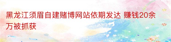 黑龙江须眉自建赌博网站依期发达 赚钱20余万被抓获