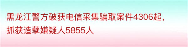 黑龙江警方破获电信采集骗取案件4306起，抓获造孽嫌疑人5855人