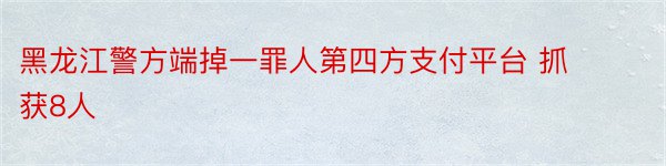 黑龙江警方端掉一罪人第四方支付平台 抓获8人