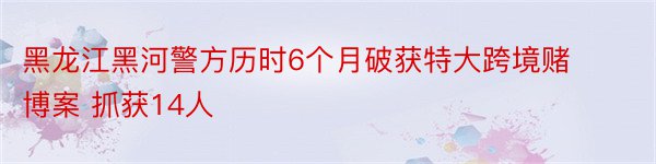 黑龙江黑河警方历时6个月破获特大跨境赌博案 抓获14人