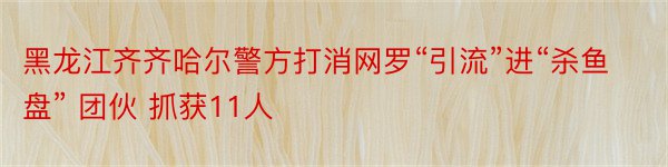 黑龙江齐齐哈尔警方打消网罗“引流”进“杀鱼盘” 团伙 抓获11人