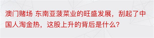 澳门赌场 东南亚菠菜业的旺盛发展，刮起了中国人淘金热，这股上升的背后是什么？