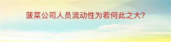 菠菜公司人员流动性为若何此之大？