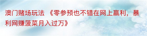 澳门赌场玩法 《零参预也不错在网上赢利，暴利网赚菠菜月入过万》