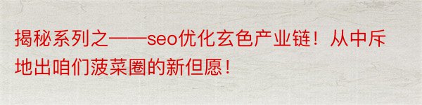 揭秘系列之——seo优化玄色产业链！从中斥地出咱们菠菜圈的新但愿！