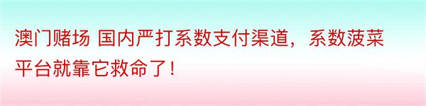 澳门赌场 国内严打系数支付渠道，系数菠菜平台就靠它救命了！