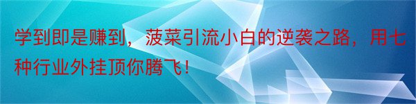 学到即是赚到，菠菜引流小白的逆袭之路，用七种行业外挂顶你腾飞！