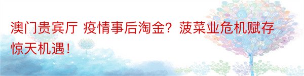 澳门贵宾厅 疫情事后淘金？菠菜业危机赋存惊天机遇！