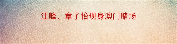 汪峰、章子怡现身澳门赌场